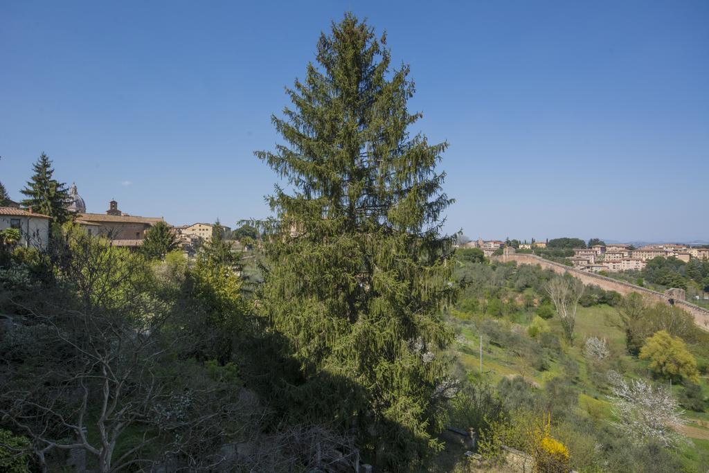 Pantaneto - Palazzo Bulgarini Bed & Breakfast Siena
